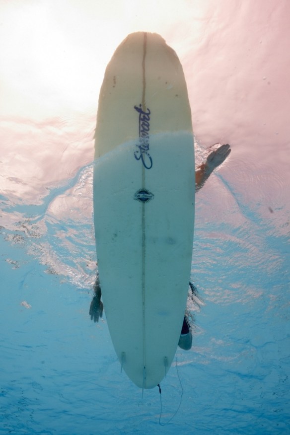 194a5324f2620e9d9b31f4549b4ac8d8