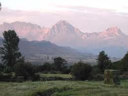 047f8e056b7bf21c28c5aadc0d56b72b