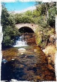 c86bd54a1862157995a1ace48c814c0a