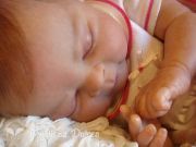 44603f18e70c6f57f5109d8755b1a387