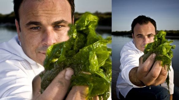 aeefae6a2fcd6e8fe04ea24839dfa574