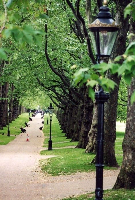 946978b847b9063e1d72f81b4a47dcd9