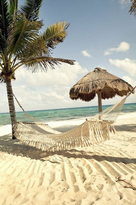 0977a4c6492cc11489b53e83e5e10547