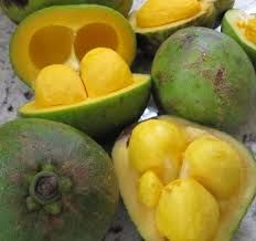 66b2f00927b25f795061668cb1bbb52e