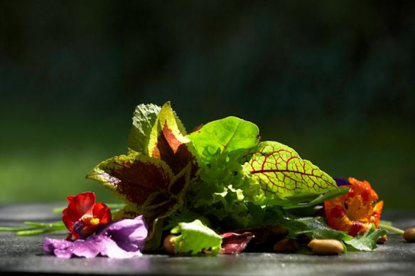 0d214c0424e049c0de46745ebb4382a4